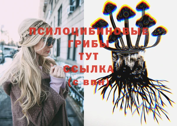 гидра Армянск