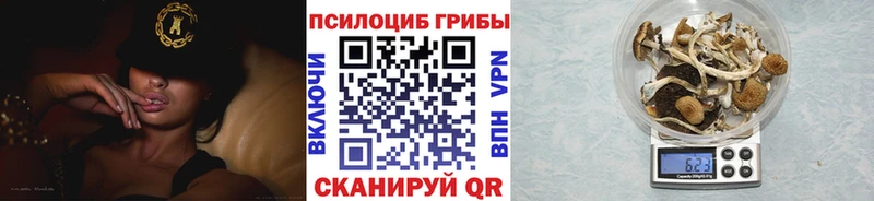 Псилоцибиновые грибы Magic Shrooms  Тавда 